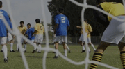 内皮尔市流浪vs佩托内正在直播-新西兰中内皮尔市流浪vs佩托内录像回放-05月12日-足球直播网